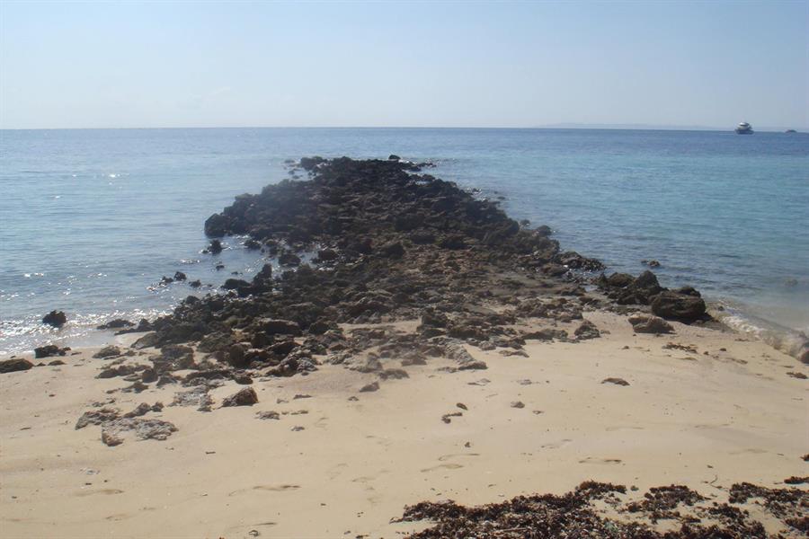 بالصور.. هنا 