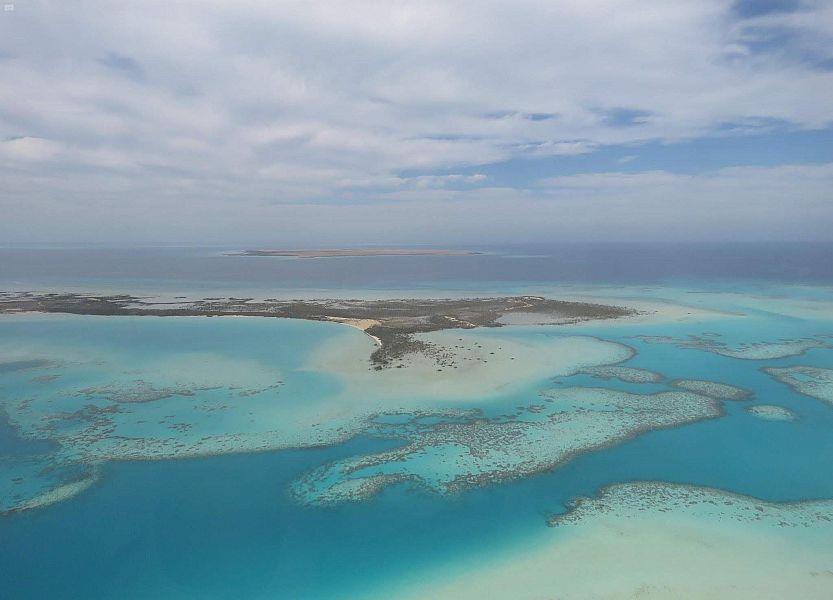 معالم المملكه معالم المملكه