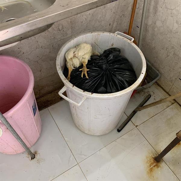 المسلخ