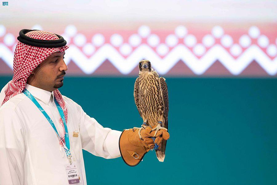 نادي الصقور