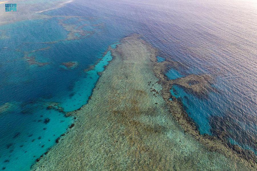 شاطئ الهرابة