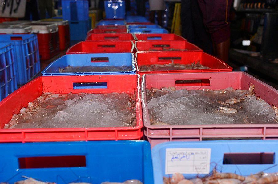 مع انطلاق موسم صيده.. أسواق الشرقية تشهد وفرة مع انطلاق موسم صيده.. أسواق الشرقية تشهد وفرة