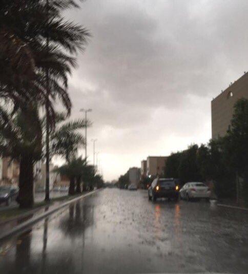 أمطار المدينة