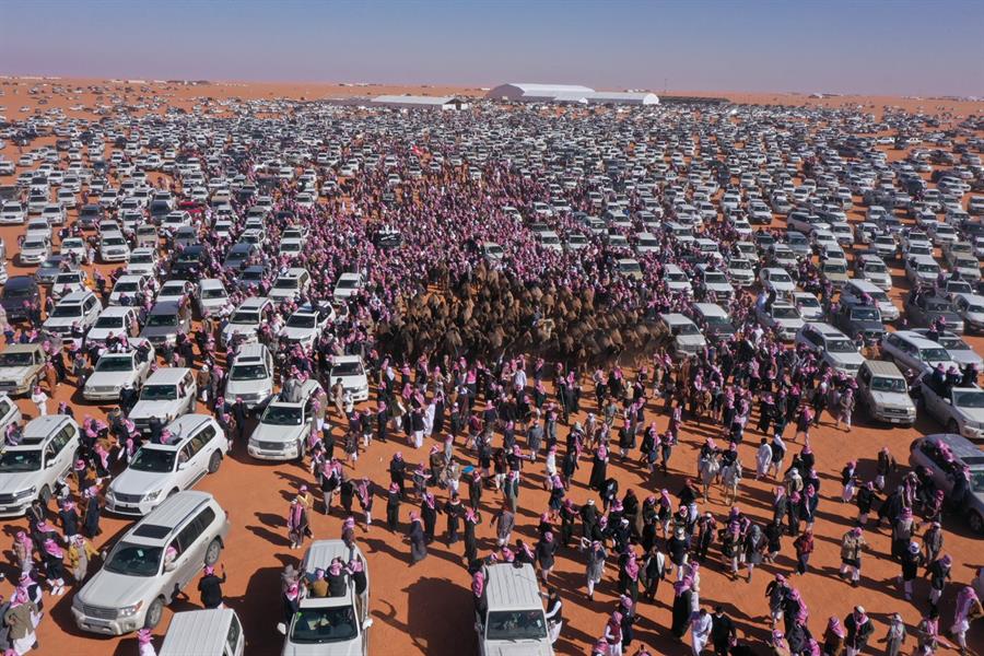 حضور كبير واستثنائي في مهرجان الملك عبد العزيز للإبل