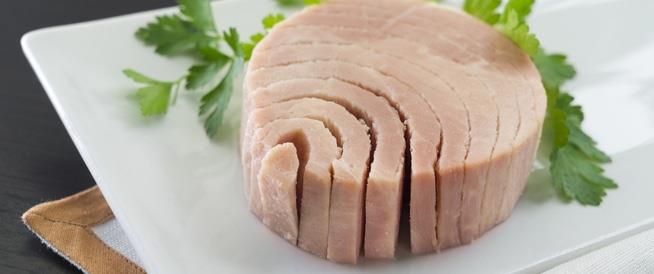 التونة التونة