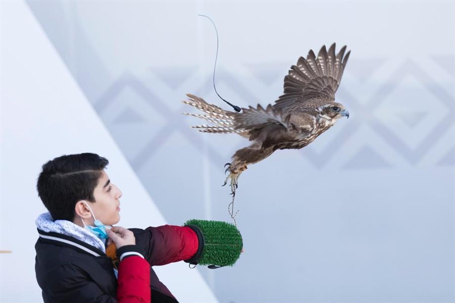 ابن الصقار السوري