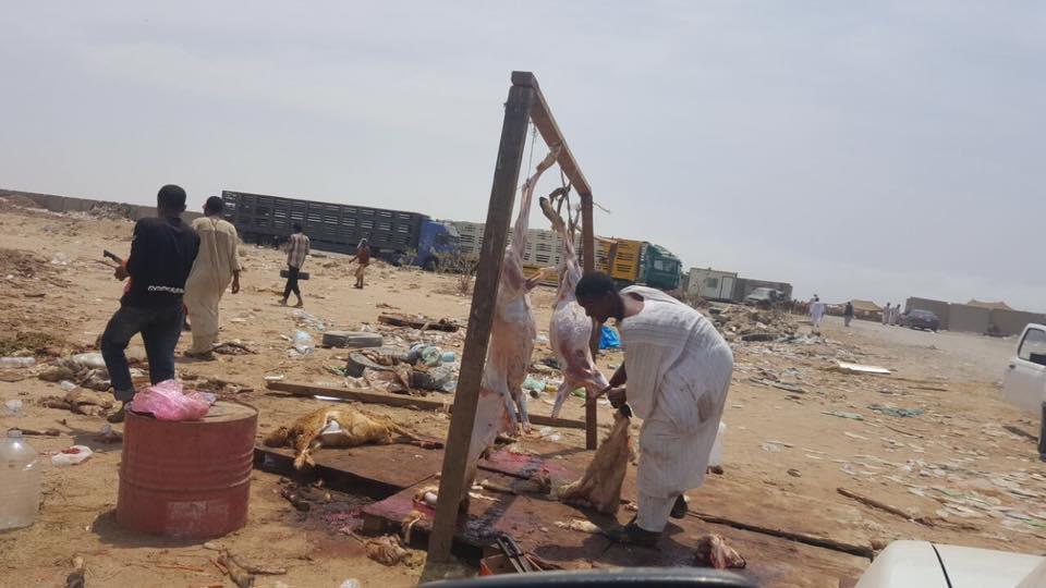 أمانة جدة تضبط ٢٩ سيارة مخالفة وتُحبط تهريب ٢٧٦ ذبيحة فاسدة في ثاني أيام عيد الأضحى