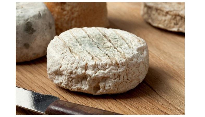 أجبان الحليب الخام أجبان الحليب الخام