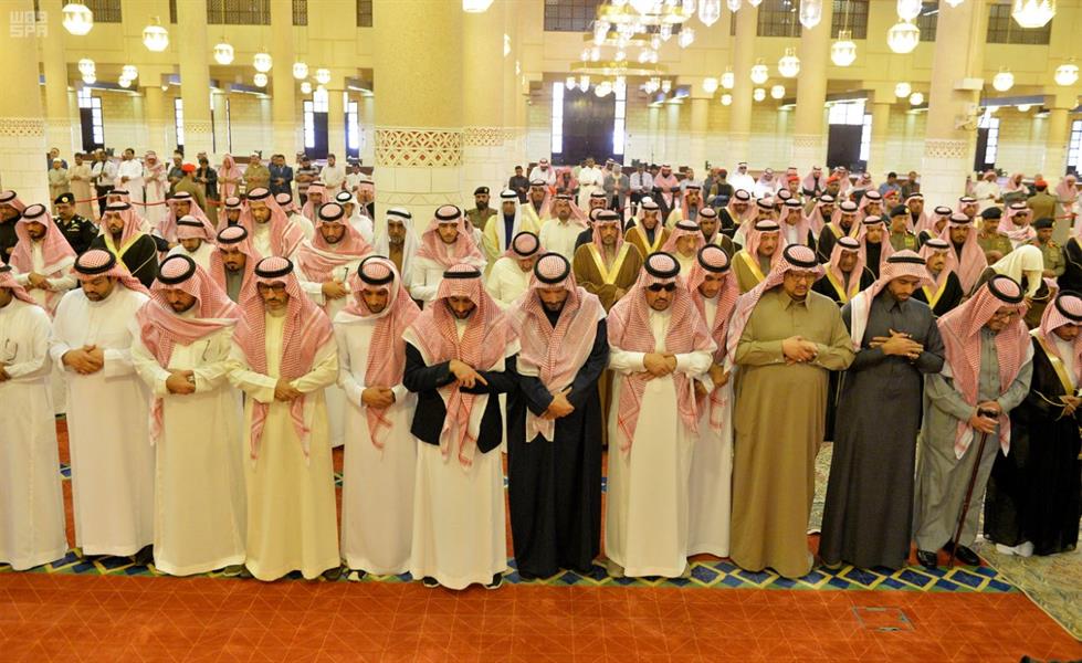 الصور الصور