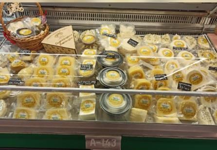 مراهق تتاري يفتتح مصنعاً للجبن ويحقق دخلاً أعلى من والدته