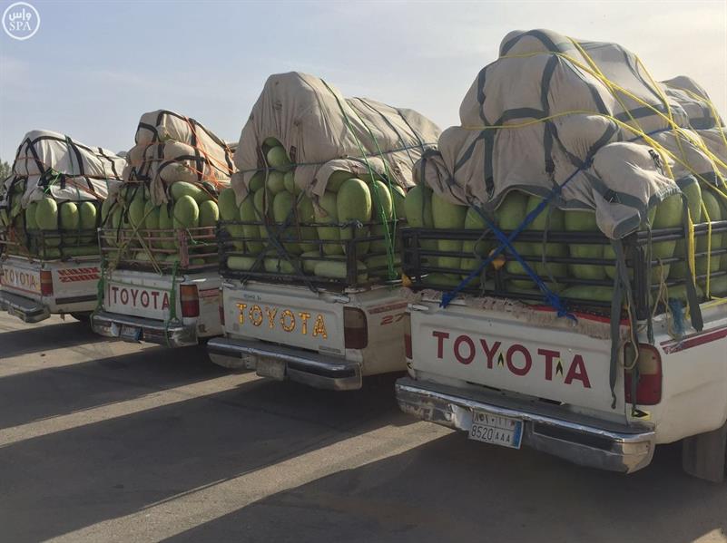 500 مركبة تنقل يوميًا حبحب وادي الدواسر للسوق 500 مركبة تنقل يوميًا حبحب وادي الدواسر للسوق