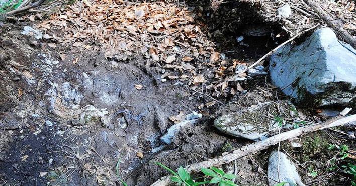 مقتل مهاجرين سوريين جراء سقوط صخور في كرواتيا