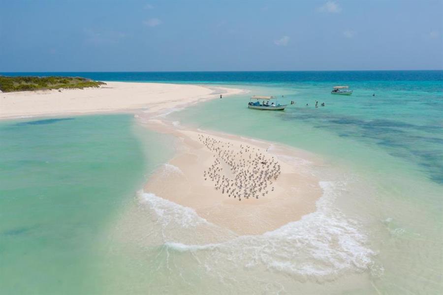 بندر الخريف