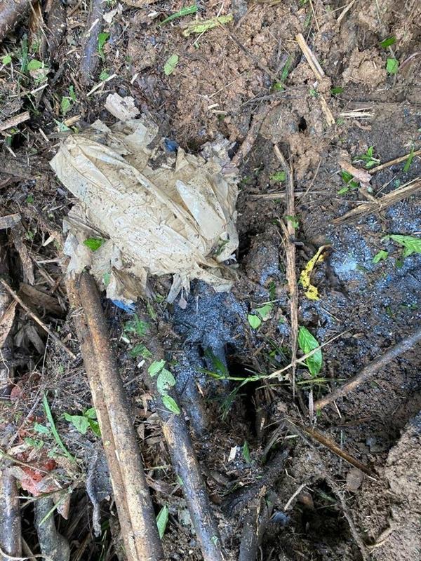  إحباط محاولة اغتيال نائبة الرئيس في كولومبيا