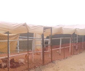 الاسطبل الاسطبل