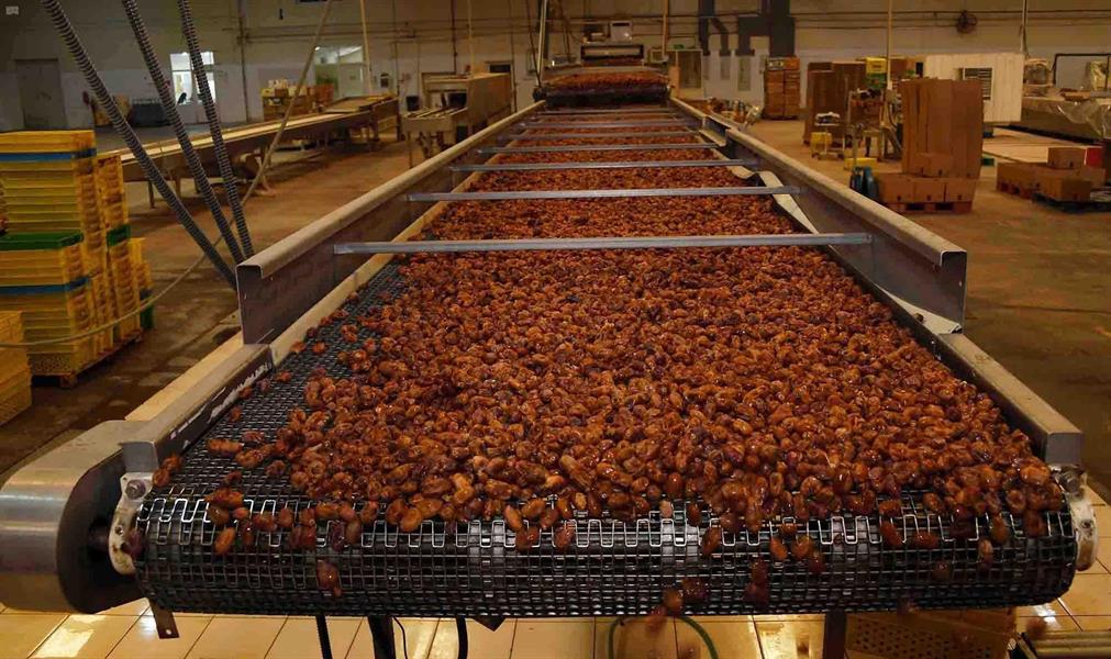 أكثر من 31 مليون نخلة في المملكة على مساحة 107 آلاف هكتار تنتج 1.5 مليون طن من التمور سنوياً (صور) أكثر من 31 مليون نخلة في المملكة على مساحة 107 آلاف هكتار تنتج 1.5 مليون طن من التمور سنوياً (صور)