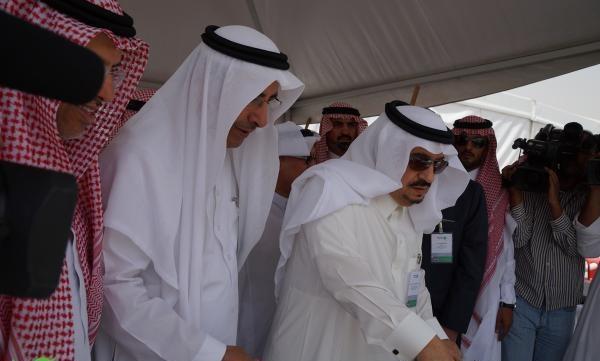 الصور الصور