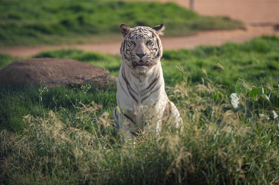 منطقة منطقة