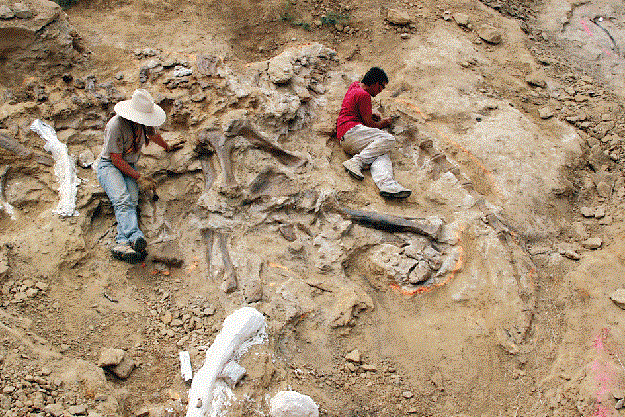 هيكل عظمي لديناصور