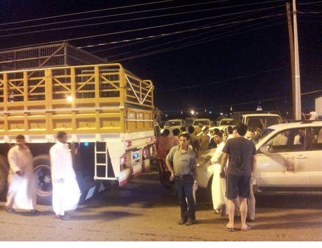 الاسد الهارب