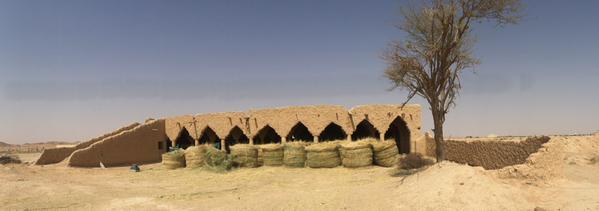 بالفيديو والصور.. أصحاب المواشي يحولون مسجداً أثريا بضرماء إلى مستودع للأعلاف