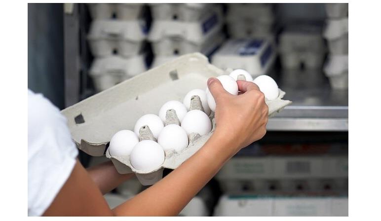 البيض البيض