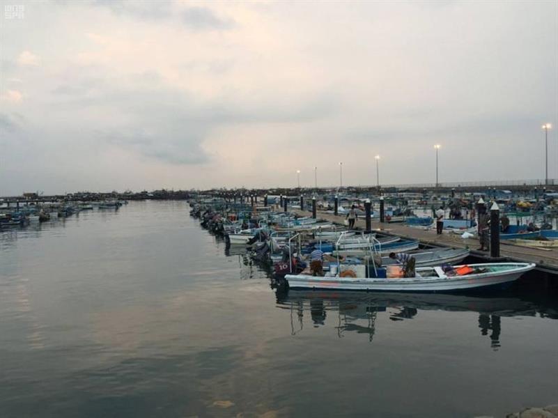 مرافئ جازان
