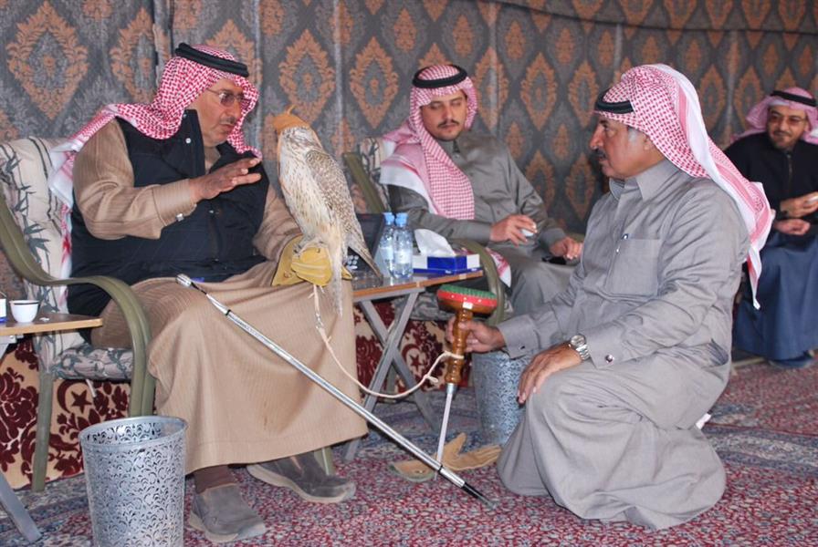 شاهد.. ولي العهد في رحلة برية لممارسة هواية الصيد بالصقور