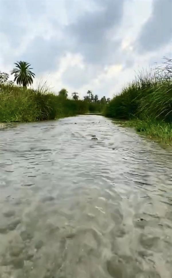 وفـاة شاب غرقاً في القنفذة بعدما حاول إنقاذ والد صديقه من الغرق  