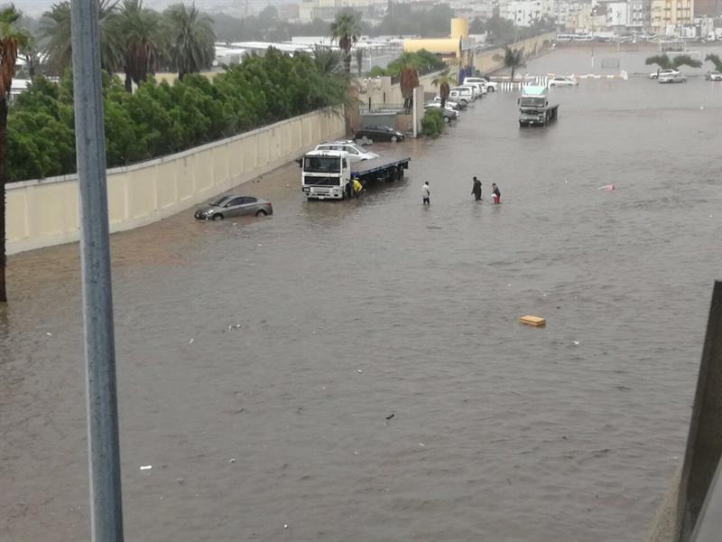 بالفيديو والصور.. تكرار المشهد في 