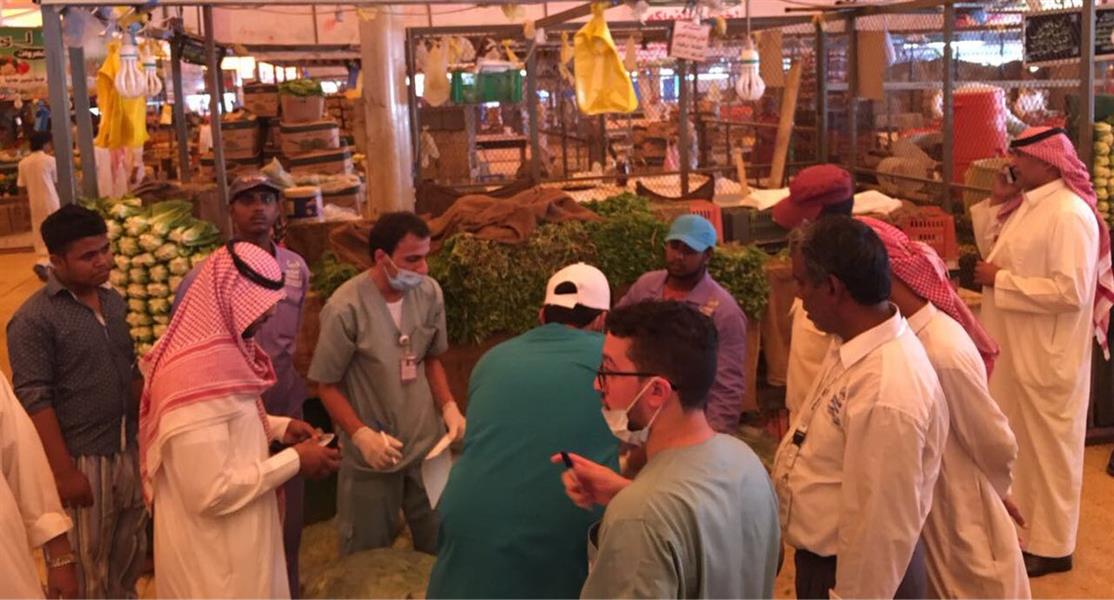 شاهد.. حشرات في مباسط الخضار في شاهد.. حشرات في مباسط الخضار في