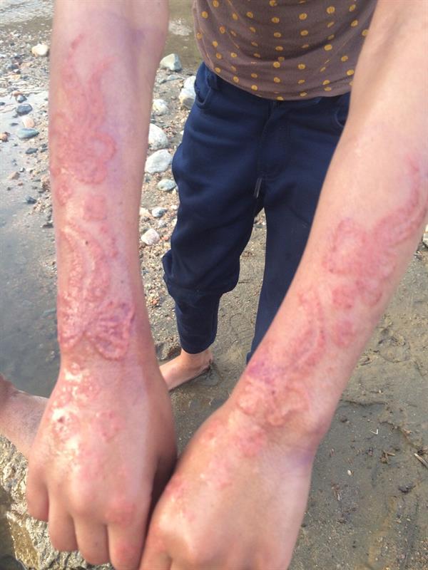 صورة من الحدث