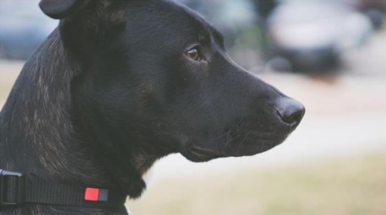 بهذا اللاصق.. لن تضيع أشياؤك بعد اليوم