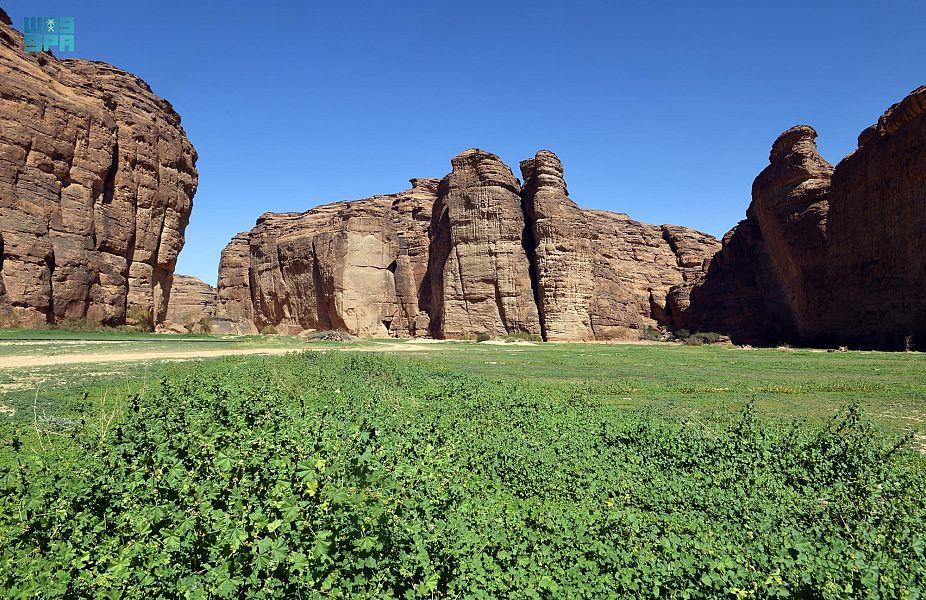 محمية شرعان بالعلا