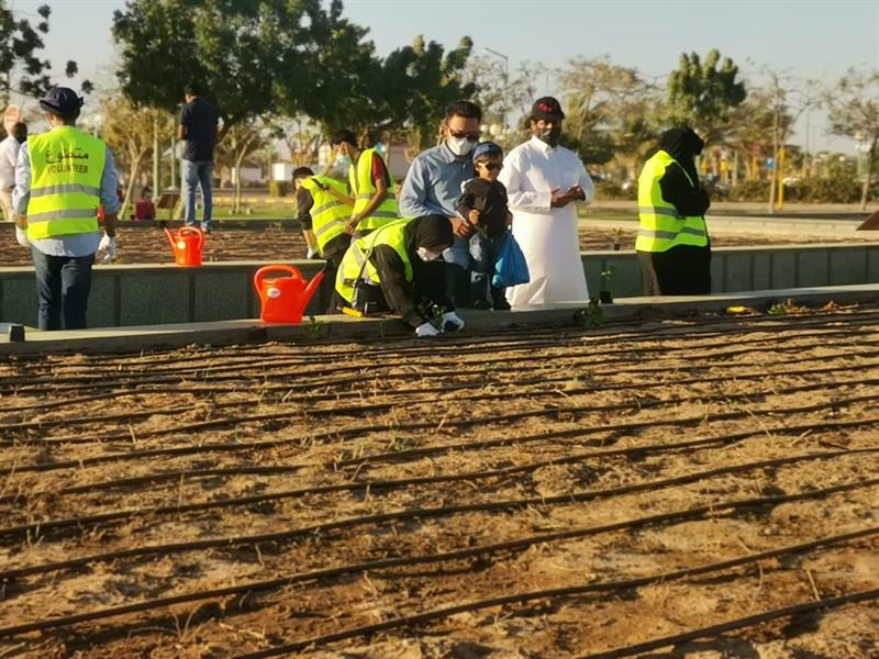 الهيئة الملكية بينبع تدشن مبادرة "واجهتنا خضراء".. والسكان يتفاعلون (صور) 