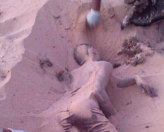 الصورة المتداولة