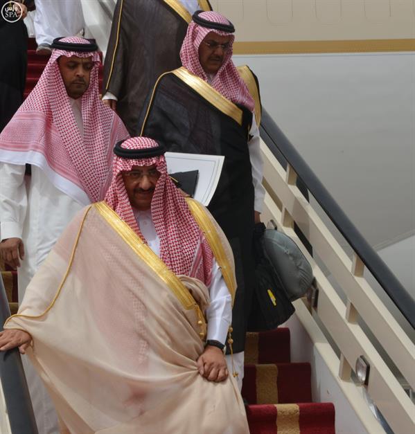 الصور الصور