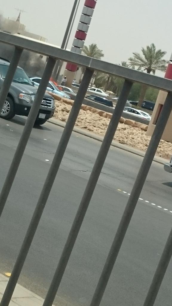 الصور الصور