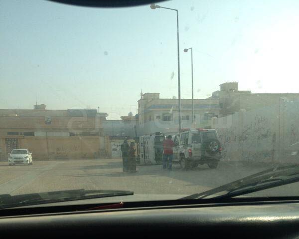  انقلاب دينا دجاج الوطنية 