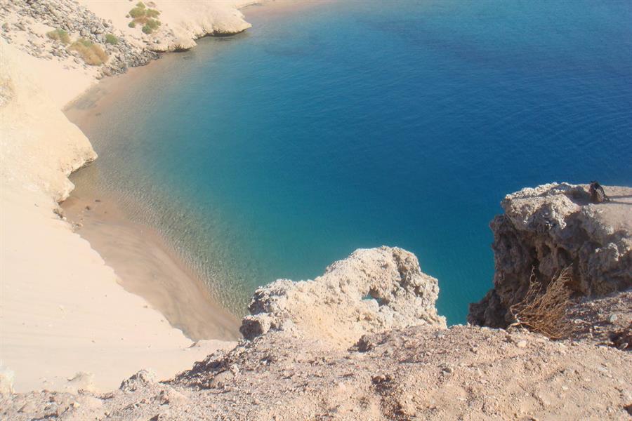 بالصور.. هنا 