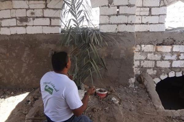 مسؤول مصري يفتح قبر والديه ويجلس معهما