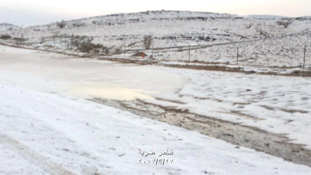 الصورة الصورة