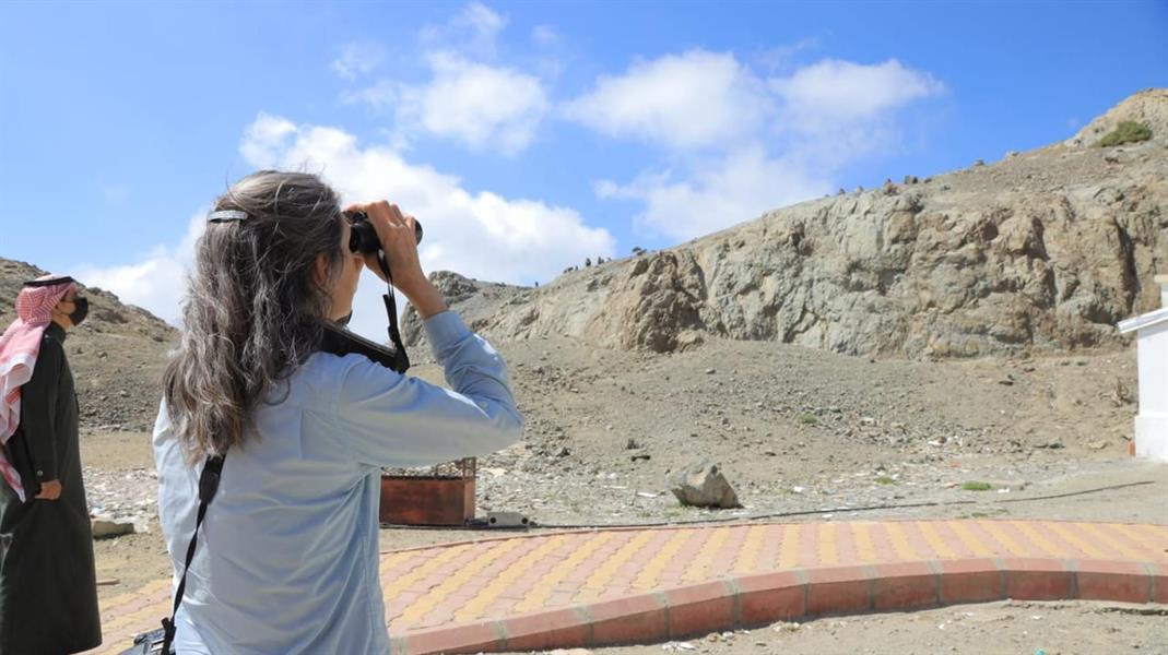 واقعة اعتداء قرود على مواطن بالباحة