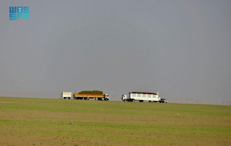 صحاري شمال وادي الدواسر