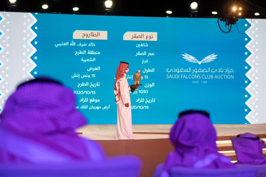 خصص مليون ريال للشراء من مزاد الصقور.. صقّار شاب يشتري فرخ شاهين بـ171 ألف ريال خصص مليون ريال للشراء من مزاد الصقور.. صقّار شاب يشتري فرخ شاهين بـ171 ألف ريال