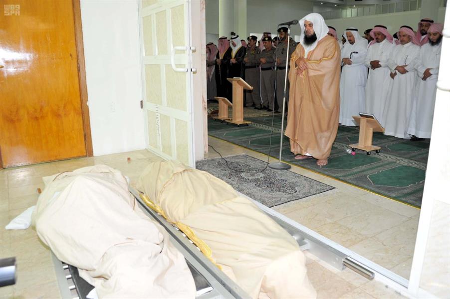 الصور الصور