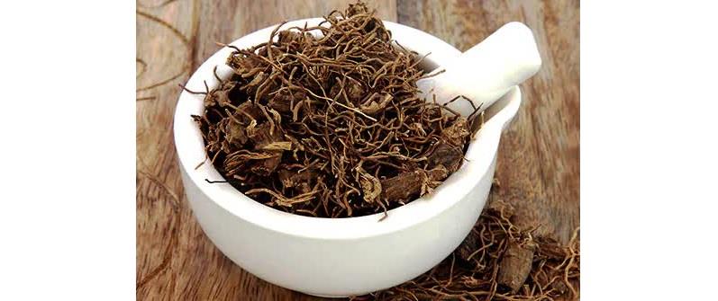 كوهوش السوداء