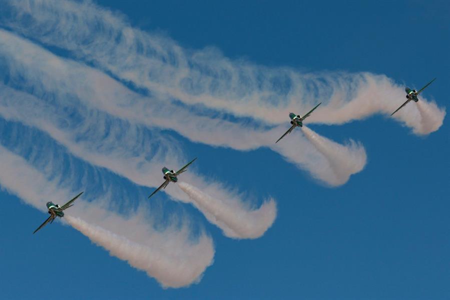 الصقور السعودية