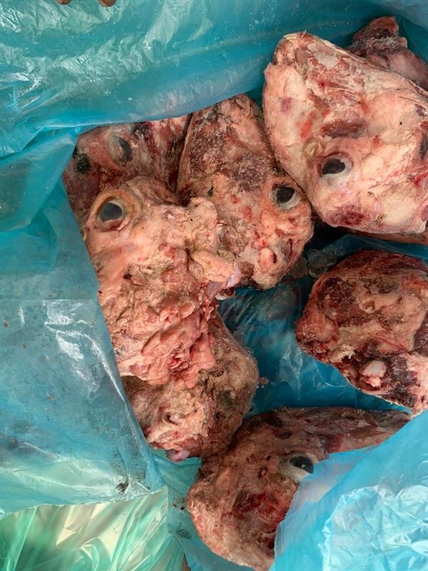 ضبط شاحنة تحمل كميات من اللحوم الفاسدة