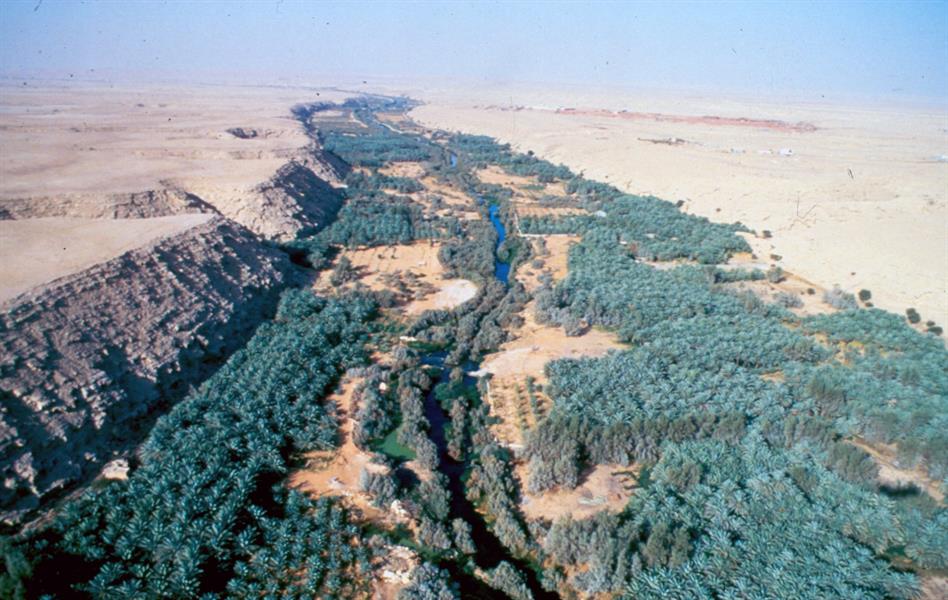 تعبيرية